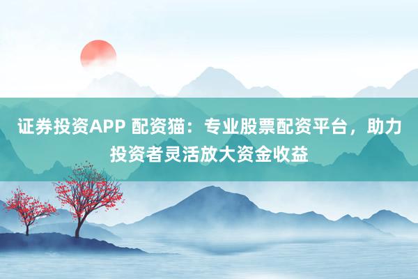 证券投资APP 配资猫：专业股票配资平台，助力投资者灵活放大资金收益