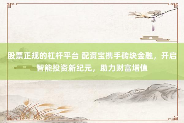股票正规的杠杆平台 配资宝携手砖块金融，开启智能投资新纪元，助力财富增值