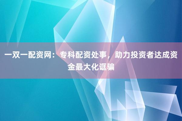 一双一配资网：专科配资处事，助力投资者达成资金最大化诓骗