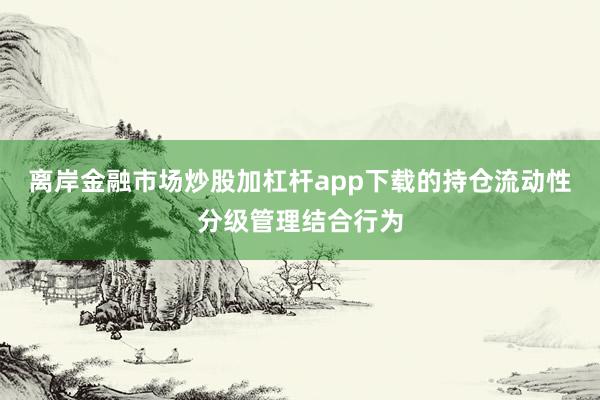 离岸金融市场炒股加杠杆app下载的持仓流动性分级管理结合行为