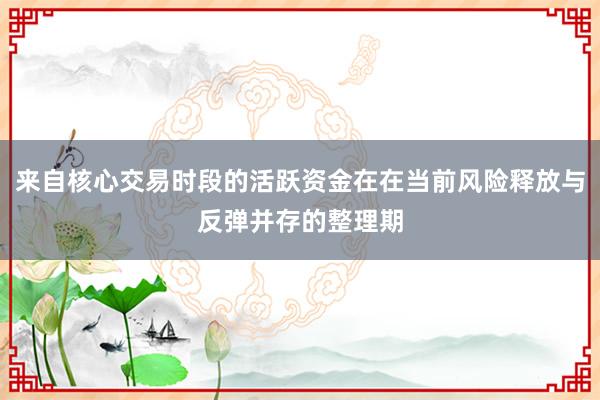 来自核心交易时段的活跃资金在在当前风险释放与反弹并存的整理期