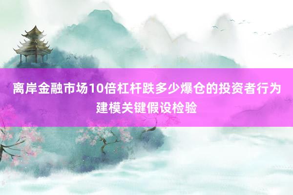 离岸金融市场10倍杠杆跌多少爆仓的投资者行为建模关键假设检验