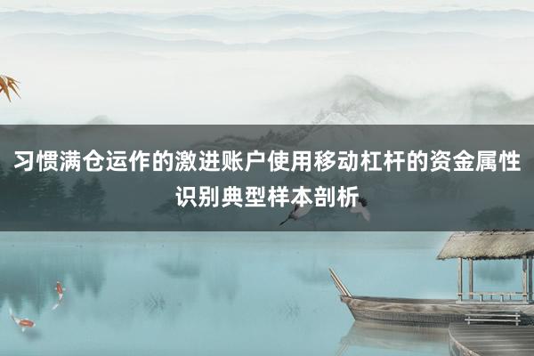 习惯满仓运作的激进账户使用移动杠杆的资金属性识别典型样本剖析