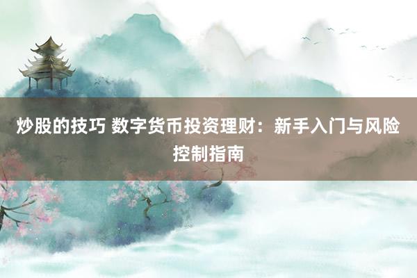 炒股的技巧 数字货币投资理财：新手入门与风险控制指南