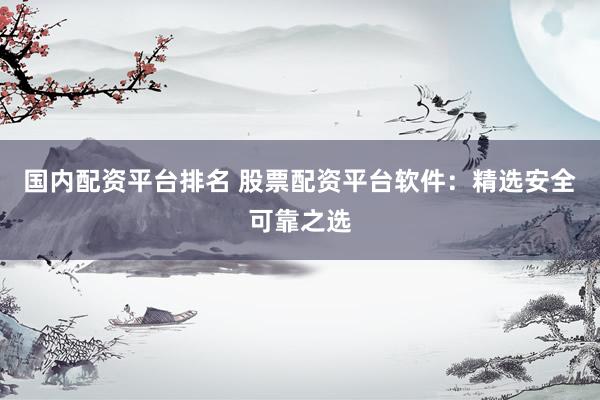 国内配资平台排名 股票配资平台软件：精选安全可靠之选