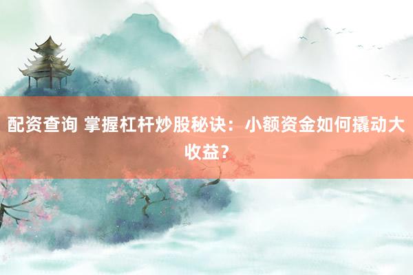 配资查询 掌握杠杆炒股秘诀：小额资金如何撬动大收益？